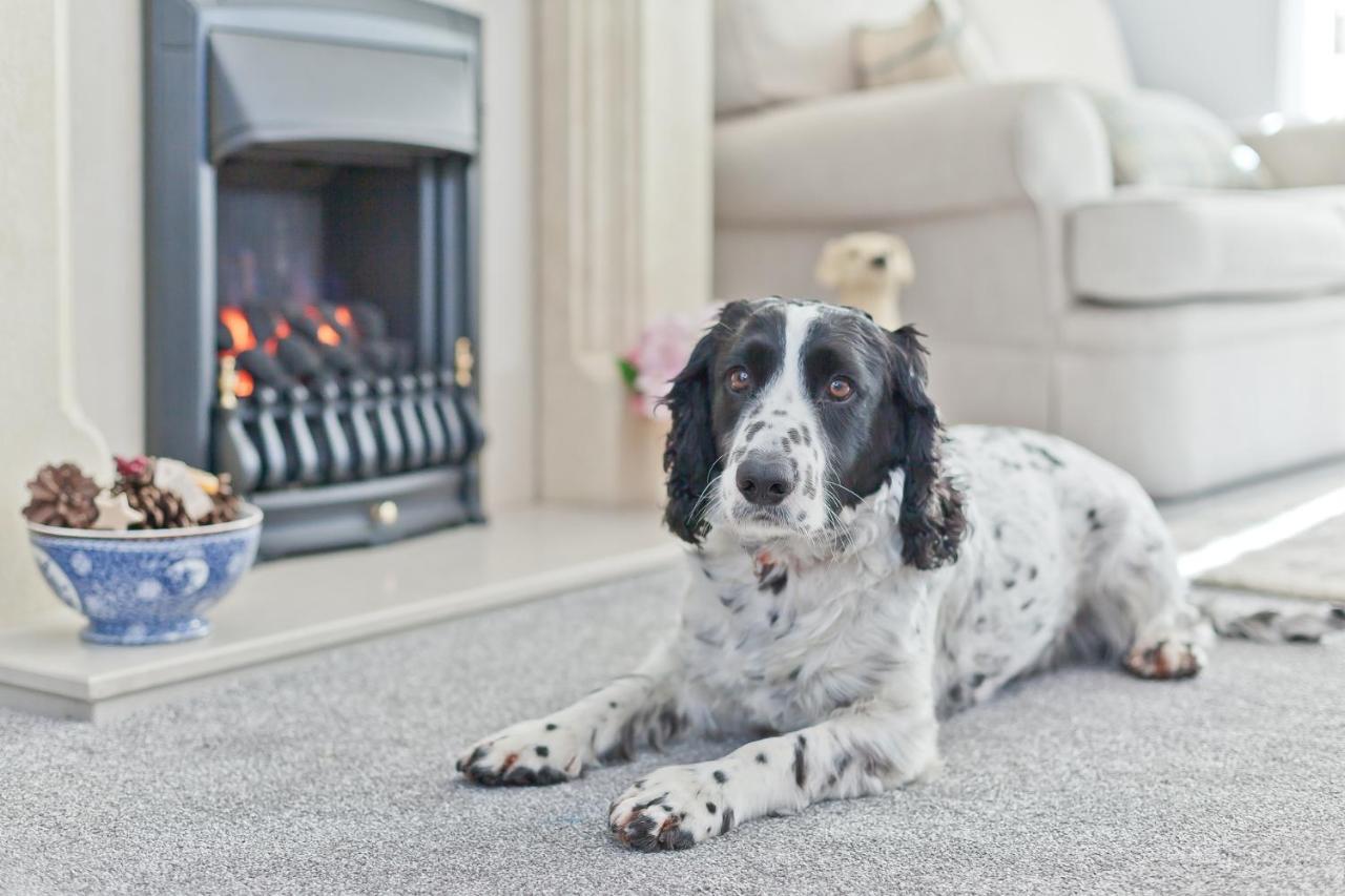 Kents Bank Holiday - Pet Friendly With Bay Views Грейндж-овер-Сандс Экстерьер фото